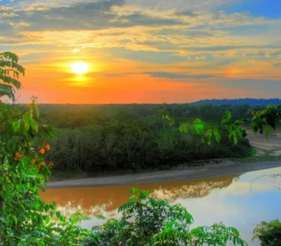 Manu National Park (6)