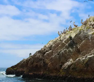 ica ballestas islands