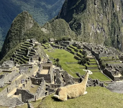 machupicchu (51)