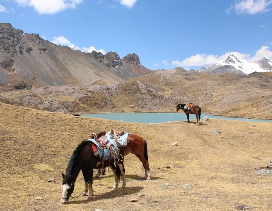 Pukaqocha Lagoon View